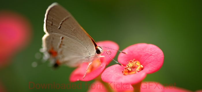 智能日志分析的短信轰在线网页版入口